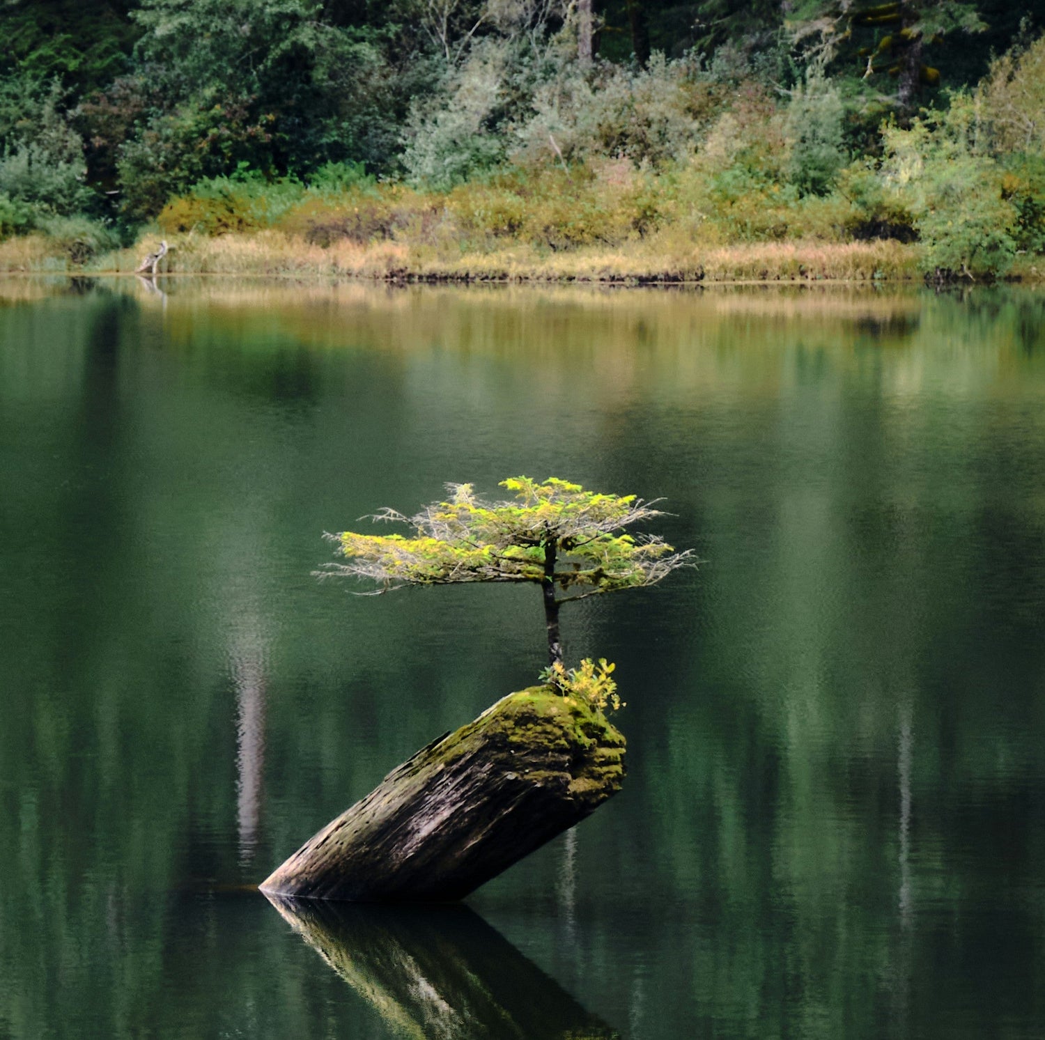 Guides For Personal Growth
